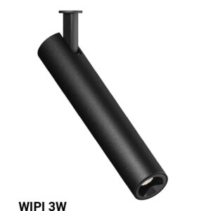 WIPI