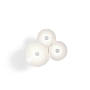 BULBILLIA 3 BODIES