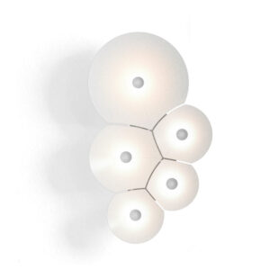 BULBILLIA 5 BODIES